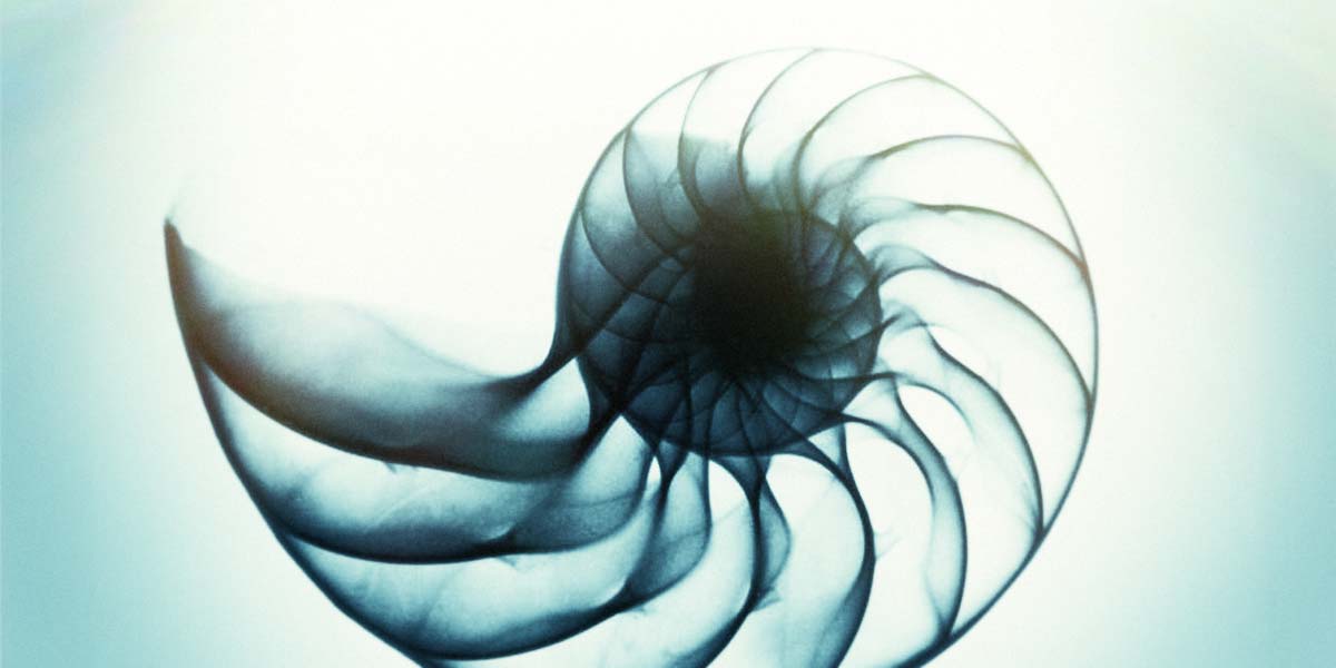 On Writing for the Ear